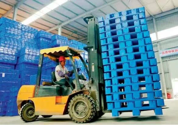 2021 সালে চীনা প্যালেট বাজারের উন্নয়নের উপর পর্যালোচনা করুন